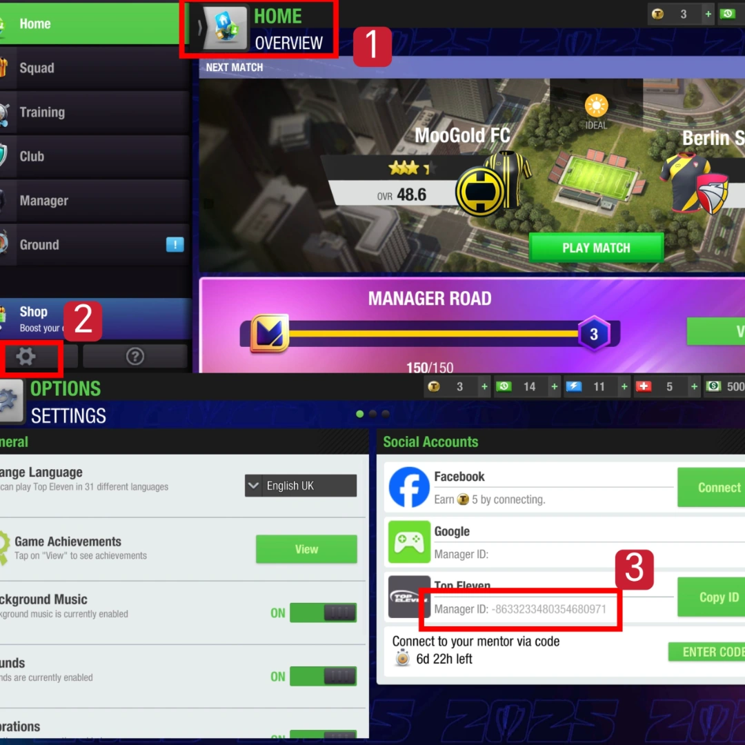 topeleven