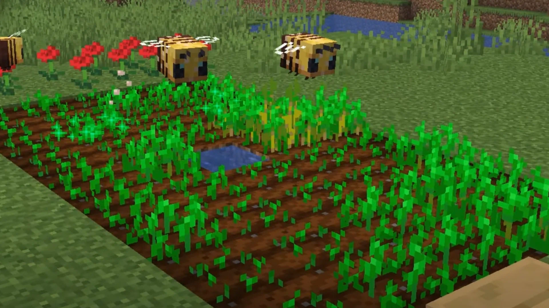Minecraft Secrets Even the Pros Don’t Know - bees