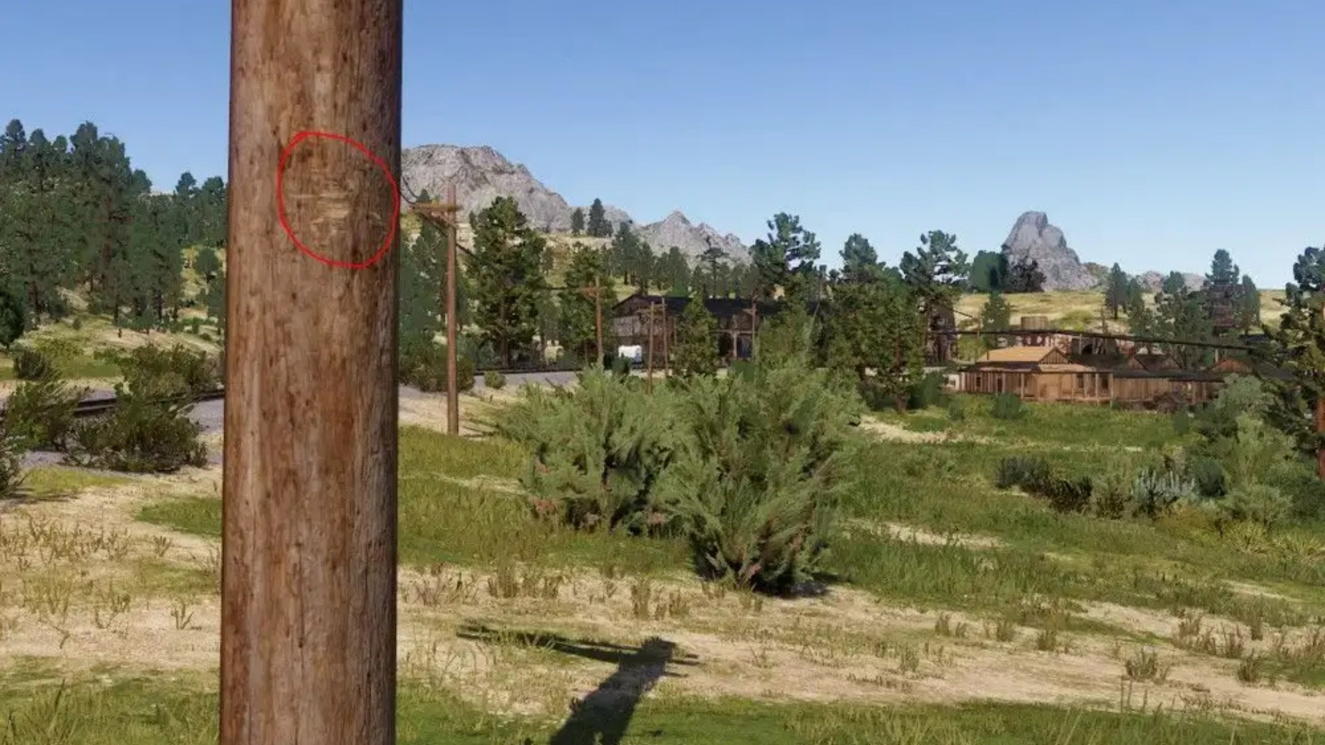 Red Dead Redemption 2 secret