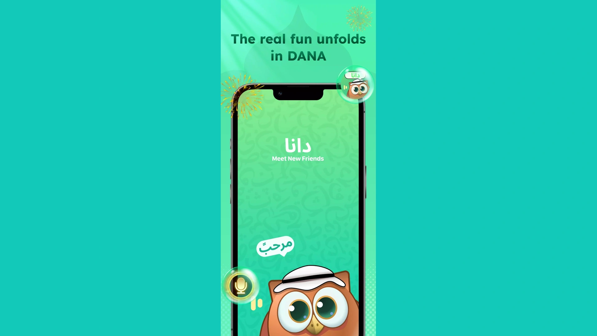 DANA CHAT Coin price