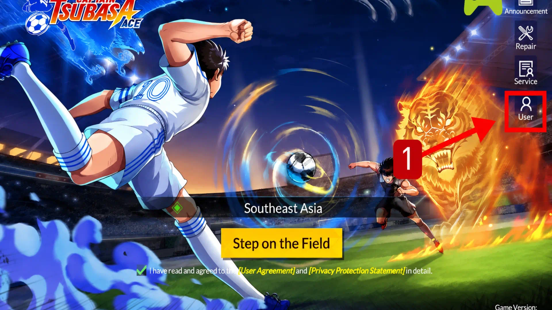 How to find your Dena ID 1