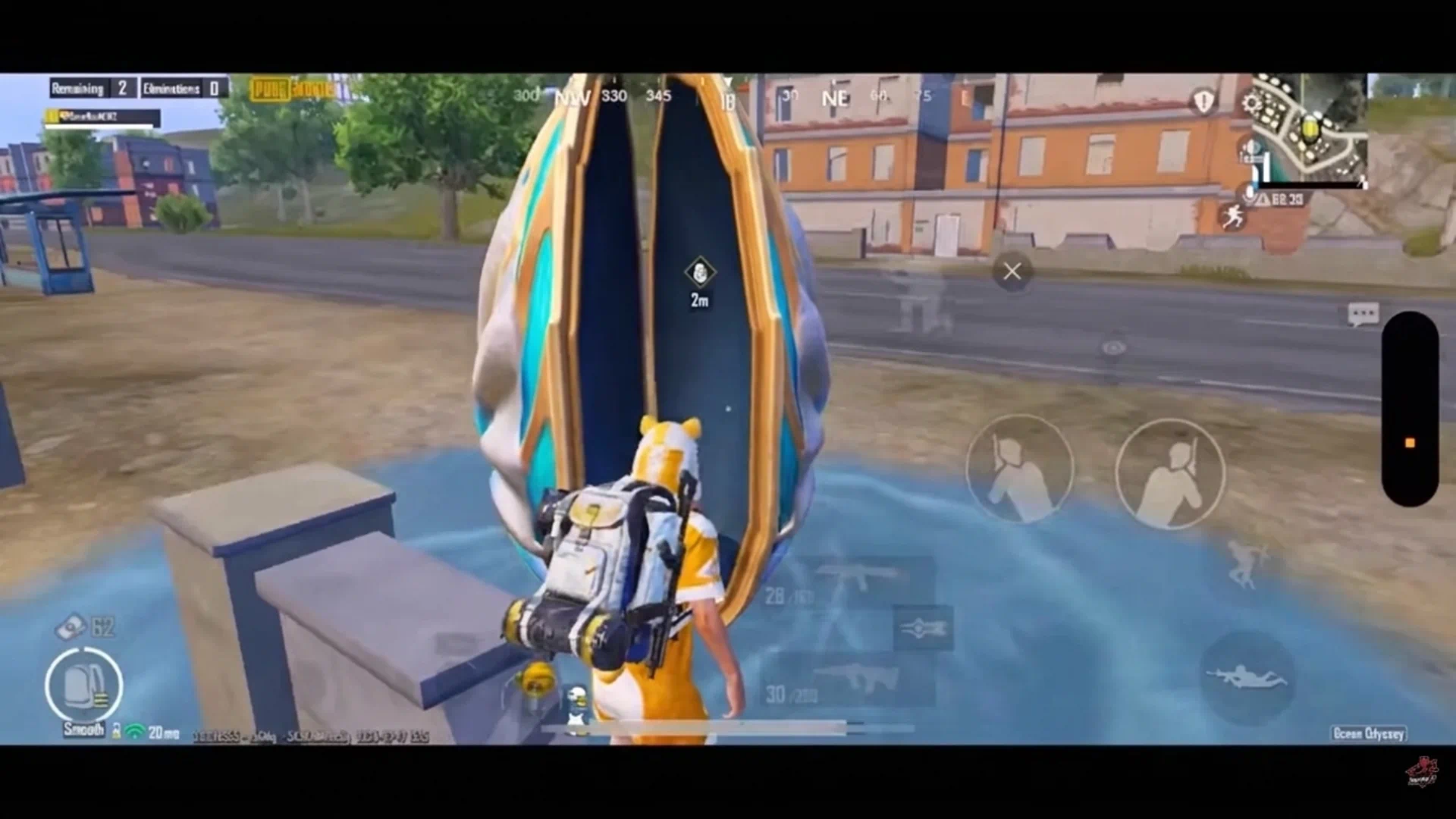 Whale Escape Pod